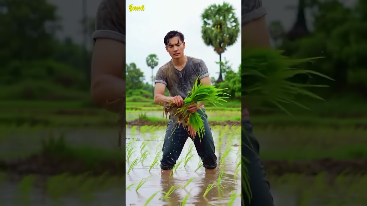 អតីតកាល នារដូវវស្សា🌾🍃🌄🌳 #ai #music #abelbirhanuየወይኗ #duet